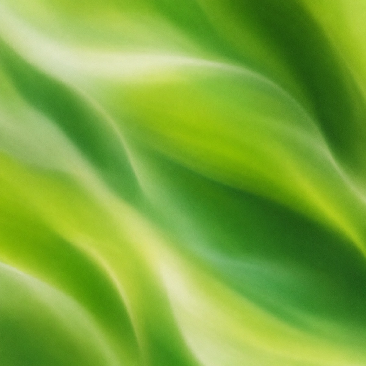 Abstract green gradient representing RaBit