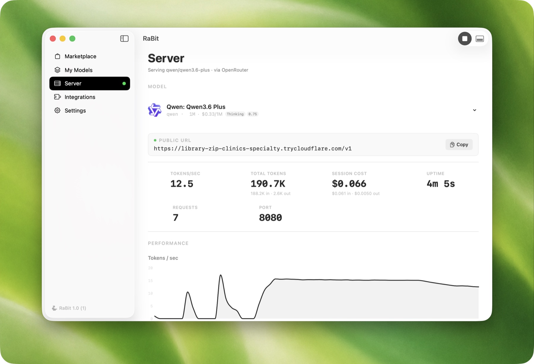 RaBit live server view with a model running and serving requests